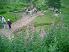 CIMG0951_thumb.png