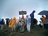 CIMG0968_thumb.png