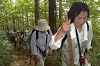 EPSN1772_thumb.png