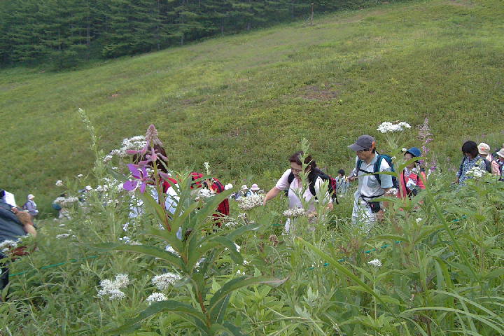 EPSN1813.JPG