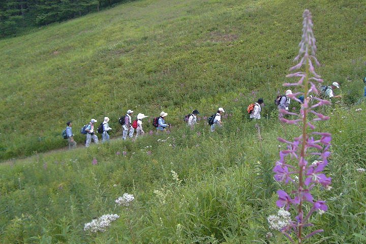 EPSN1815.JPG
