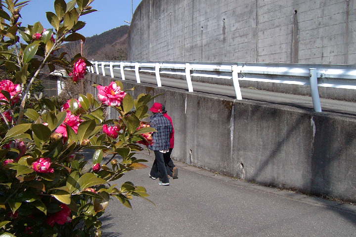 EPSN4897.JPG