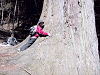 epsn4847_thumb.png