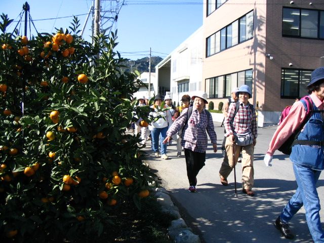 IMG_3269.JPG