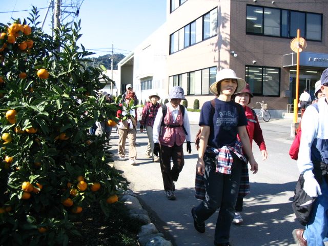 IMG_3272.JPG