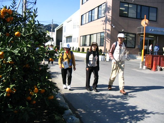 IMG_3274.JPG
