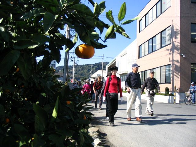 IMG_3275.JPG