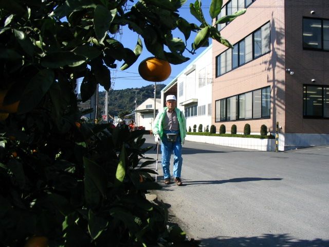IMG_3282.JPG
