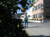 IMG_3282_thumb.png