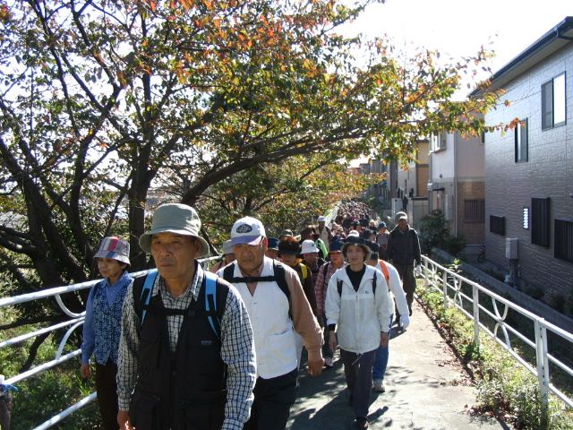 IMG_3287.JPG