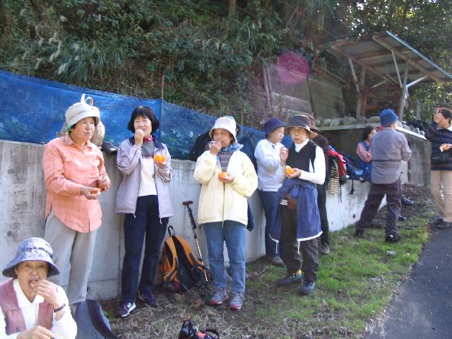 IMG_3313.JPG