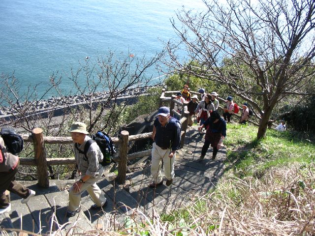 IMG_3328.JPG