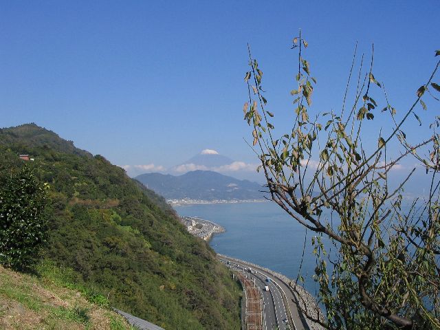 IMG_3347.JPG