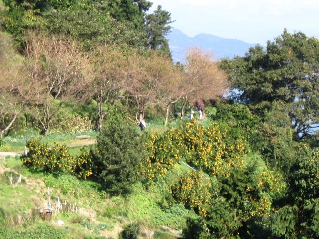 IMG_3357.JPG