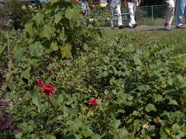 EPSN0027_09120942.JPG