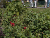 EPSN0027_09120942_thumb.png