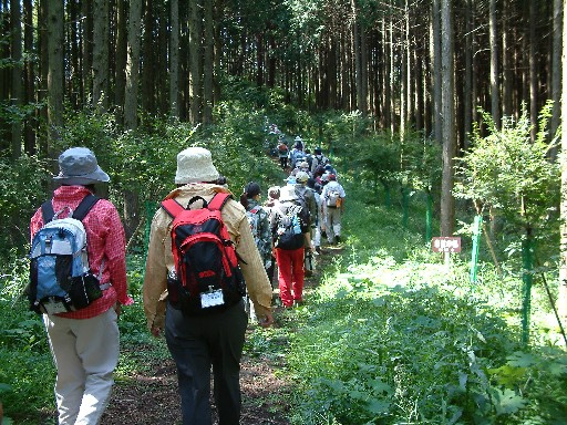 DSCF0022.JPG