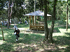 DSCF0023_thumb.png