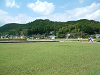 DSCF0031_thumb.png