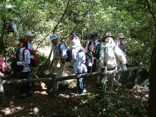 DSCF0033.JPG
