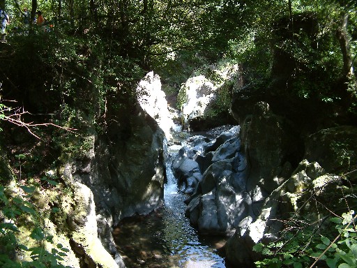 DSCF0034.JPG