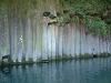 DSCF0036_thumb.png