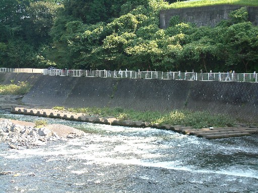 DSCF0063.JPG