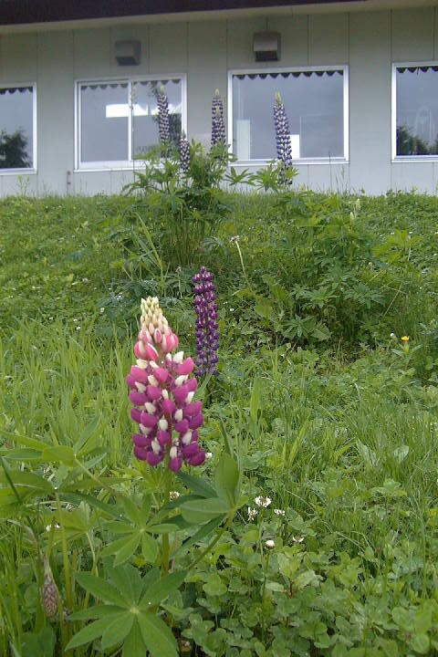 EPSN0728.JPG