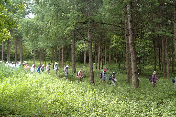 EPSN0731.JPG