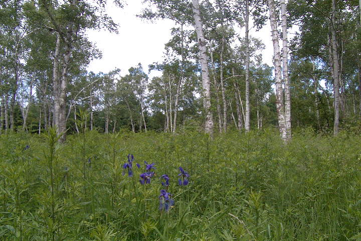 EPSN0750.JPG