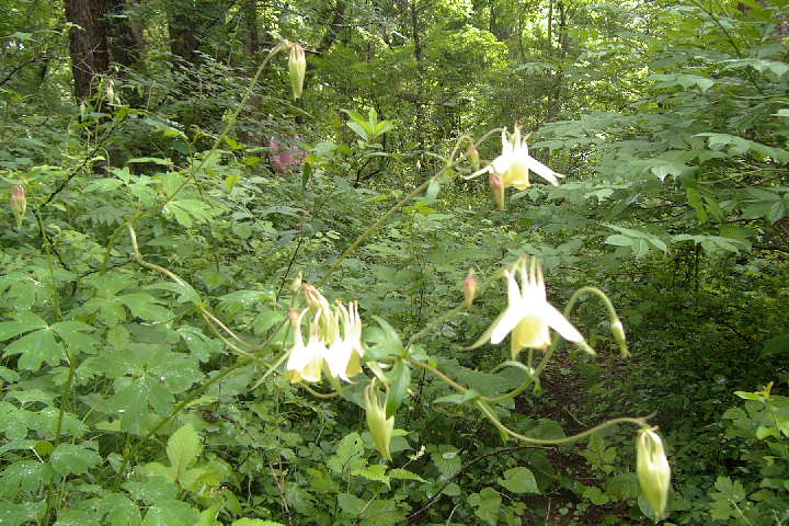 EPSN0751.JPG