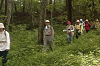 EPSN0752_thumb.png
