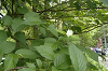 EPSN0762_thumb.png