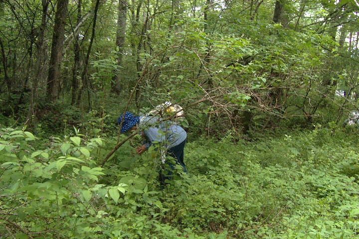 EPSN0766.JPG