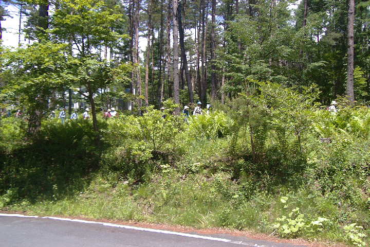 EPSN0822.JPG