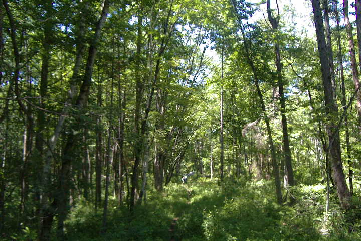 EPSN0826.JPG