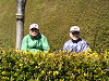 IMG_6287_thumb.png