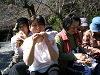 IMG_9347_thumb.png
