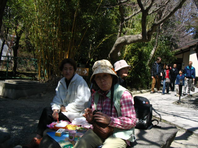 IMG_9395.JPG