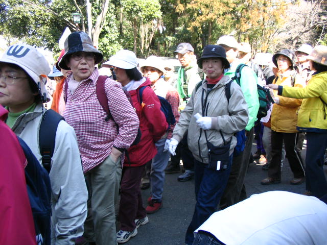 IMG_8739.JPG