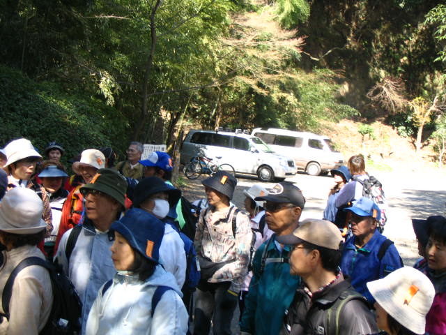 IMG_8799.JPG