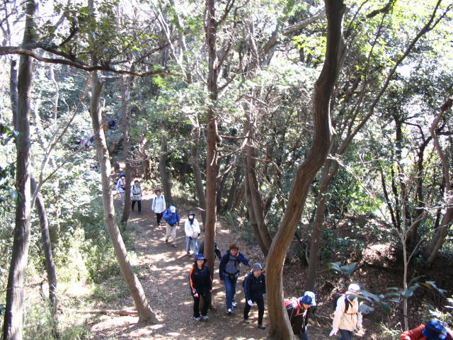 IMG_8890.JPG