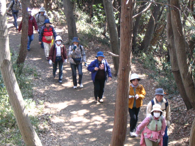 IMG_8893.JPG