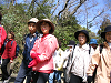 IMG_9030_thumb.png
