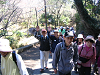 IMG_9061_thumb.png