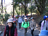 IMG_9075_thumb.png