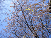 IMG_9120_thumb.png