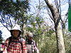 IMG_9193_thumb.png