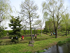 IMG_0421_thumb.png