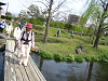 IMG_0424_thumb.png